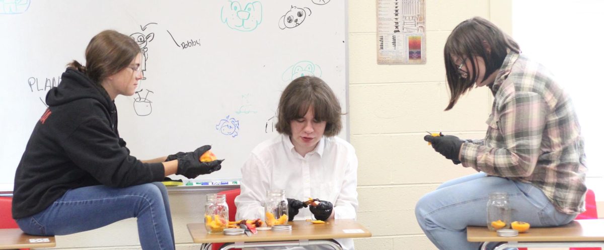 Sophomores Natalia Harris, Sarah Smith and Kendall Knight peel peaches in Mr. Giles' homesteading class, which will move from first to seventh period at the semester change as part of many schedule tweaks.